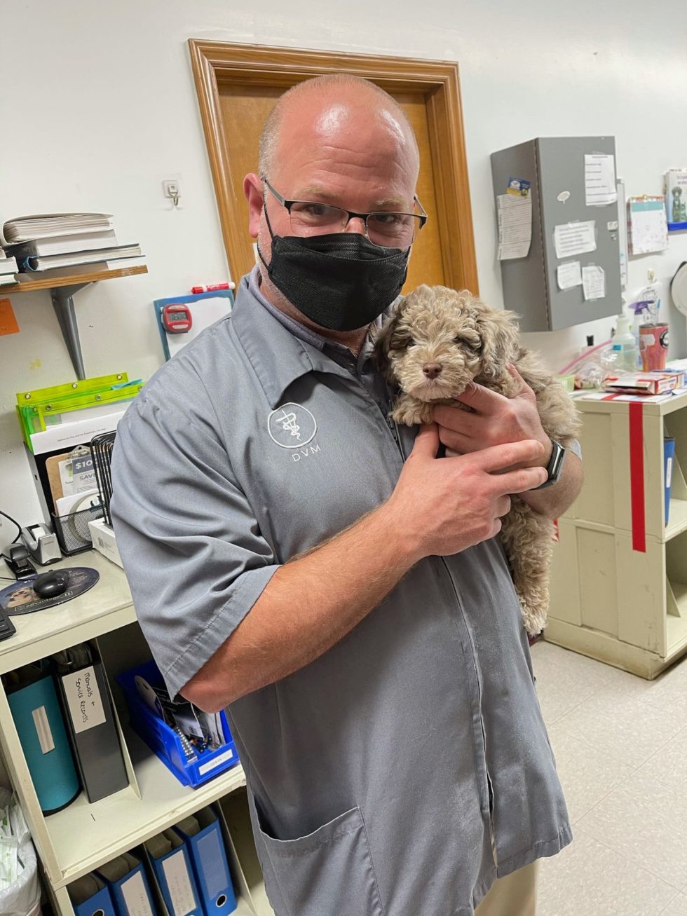 Best Veterinary Hospital in Bessemer City, NC 28016 The Pet Hospital