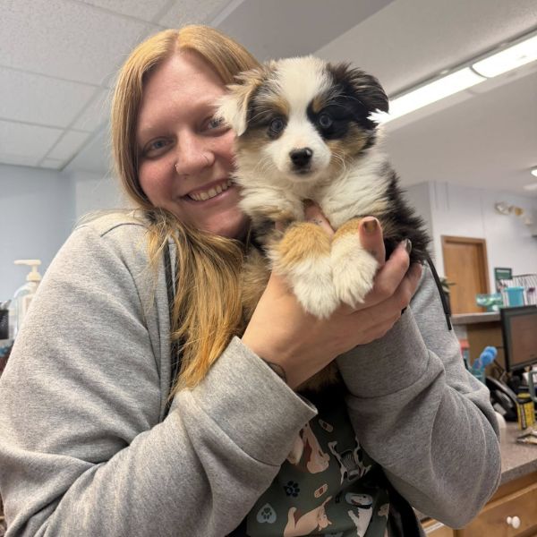 vet staff and a dog