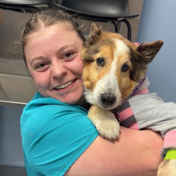 vet staff affectionately hugging a dog