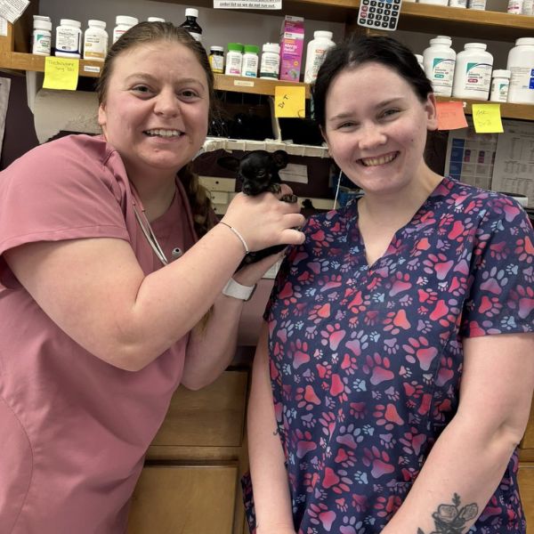 two vet staff holding a puppy