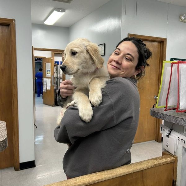 vet staff holding a dog