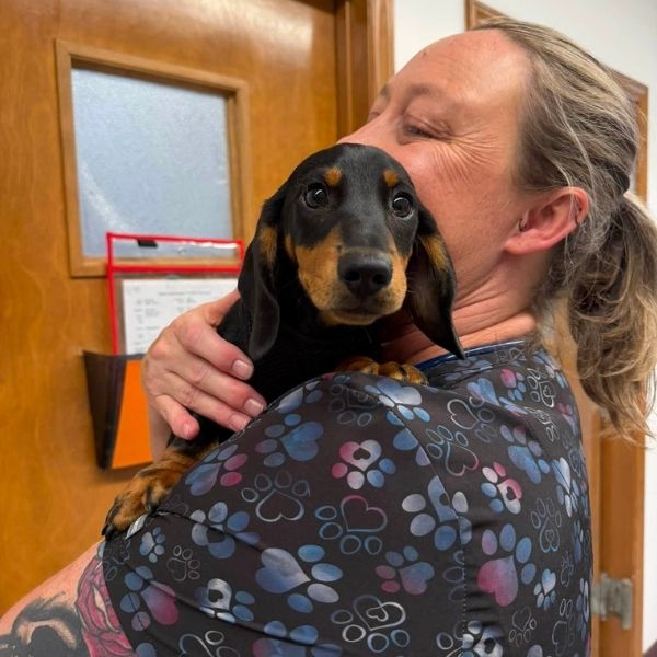a vet staff lovingly hugs and kisses a black-and-tan dachshund